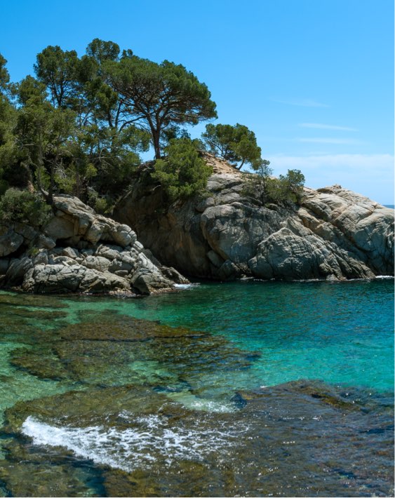 EL TEU MOMENT EL DISSENYES TU