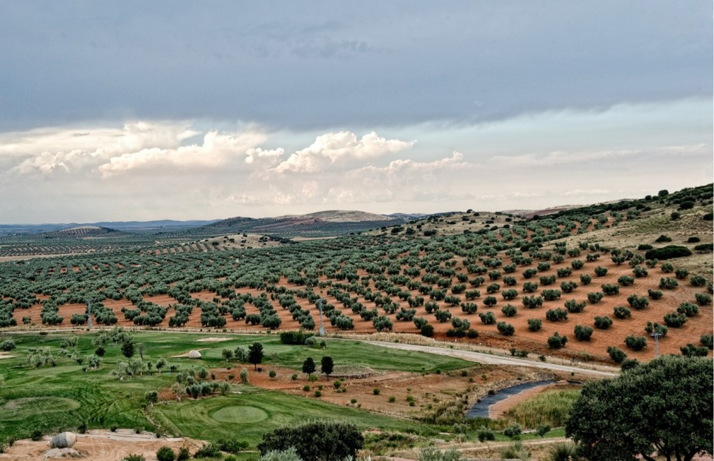 Aeròdrom, hangar i club de golf