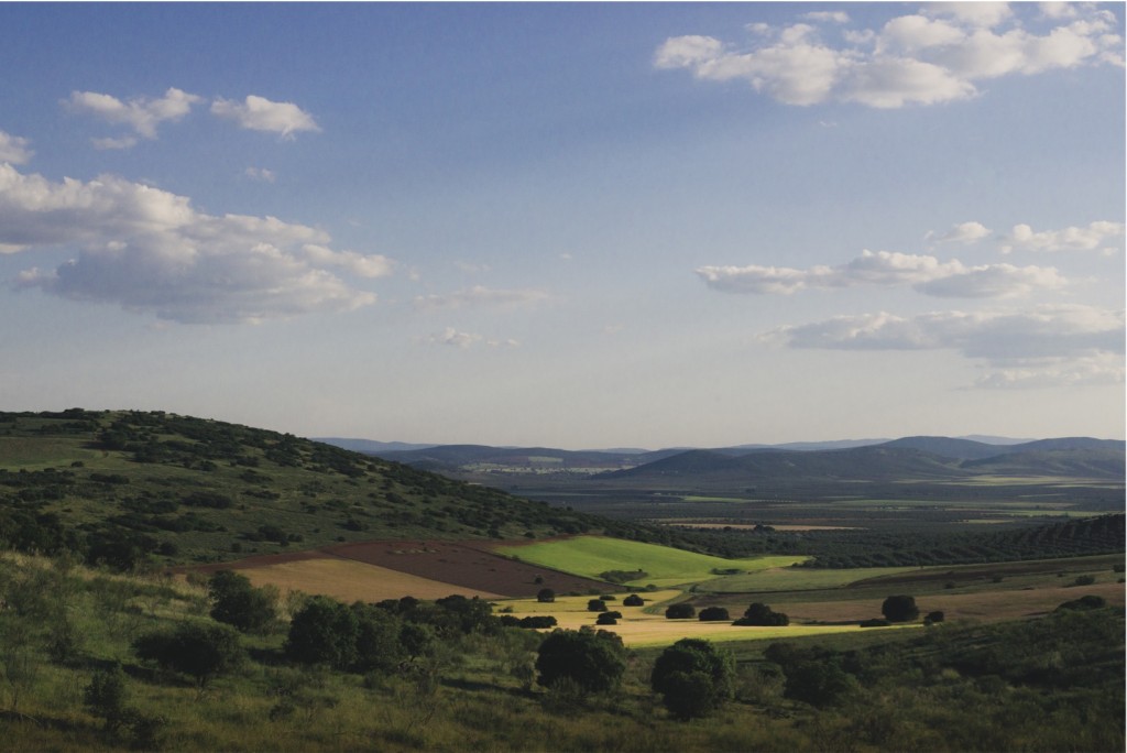 La Caminera La Caminera